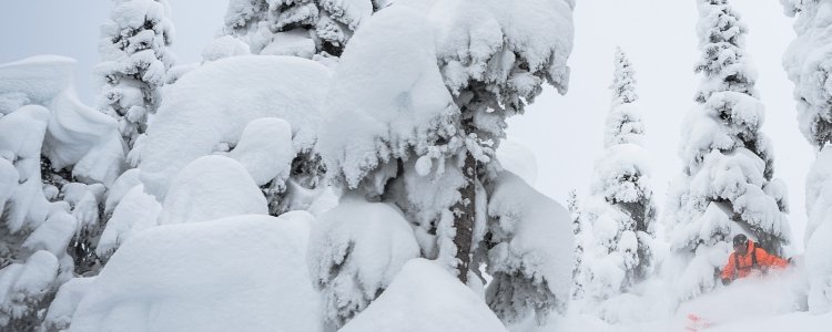 Goed nieuws: La Nina, de Lady of Winter komt eraan!-1560448943