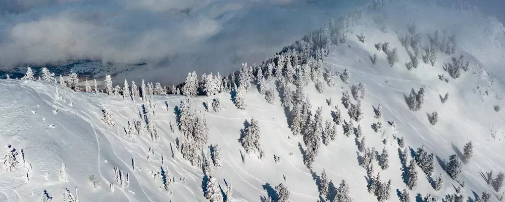 Bijzonder skigebied: Powder Mountain in Utah!-1737027306